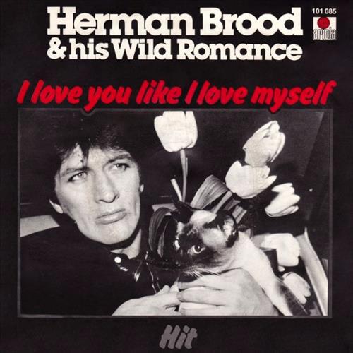 Herman Brood & His Wild Romance